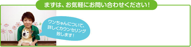 まずは、お気軽にお問い合わせください！ ワンちゃんについて、詳しくカウンセリング致します！ お電話でのお問い合わせ 0120-291-109 10：00～18：00 水曜定休日