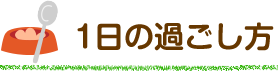 1日の過ごし方