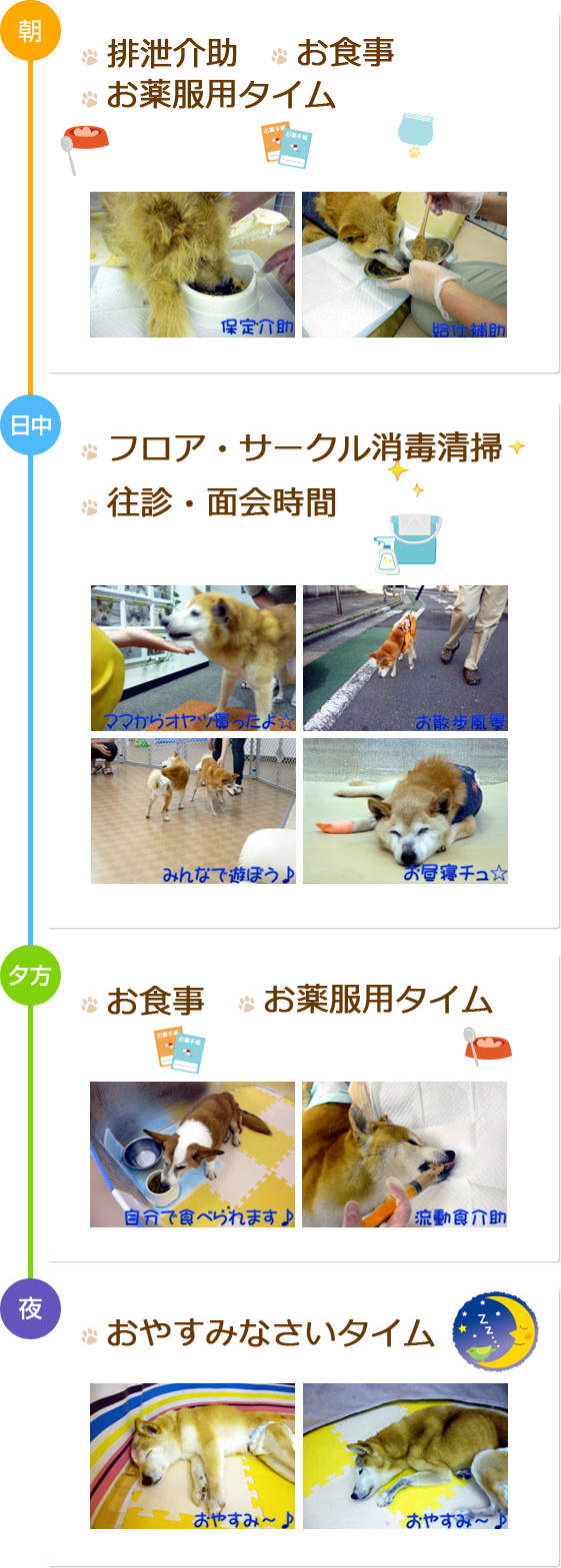 排泄介助 お食事 お薬服用タイム フロア・サークル 消毒清掃 往診・面会時間 お食事 お薬服用タイム おやすみなさい タイム