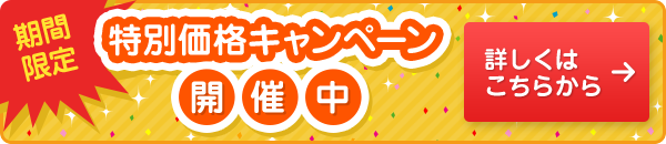 期間限定 特別価格キャンペーン開催中 詳しくはこちらから